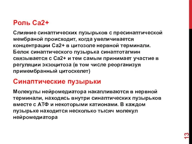 Роль Са2+ Слияние синаптических пузырьков с пресинаптической мембраной происходит, когда