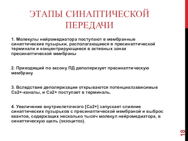 ЭТАПЫ СИНАПТИЧЕСКОЙ ПЕРЕДАЧИ 1. Молекулы нейромедиатора поступают в мембранные синаптические