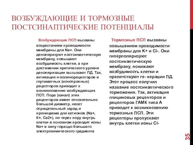 ВОЗБУЖДАЮЩИЕ И ТОРМОЗНЫЕ ПОСТСИНАПТИЧЕСКИЕ ПОТЕНЦИАЛЫ Возбуждающие ПСП вызваны возрастанием проводимости