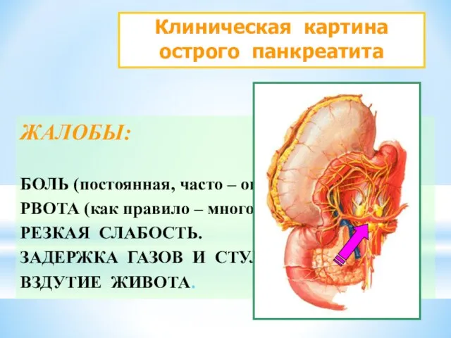 Клиническая картина острого панкреатита ЖАЛОБЫ: БОЛЬ (постоянная, часто – опоясывающая).