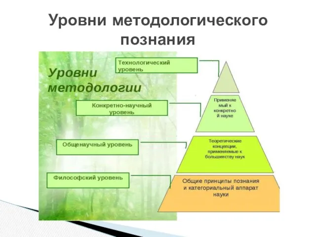 Уровни методологического познания