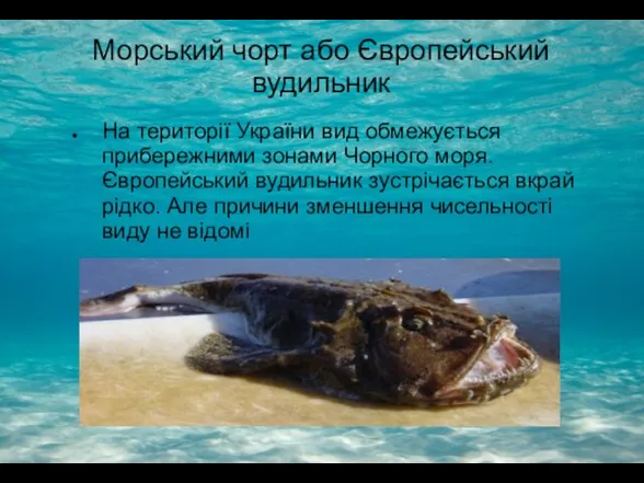 Морський чорт або Європейський вудильник На території України вид обмежується