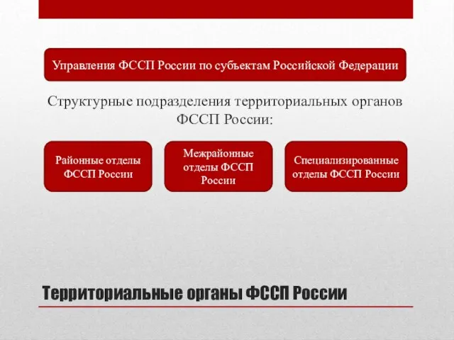 Территориальные органы ФССП России Структурные подразделения территориальных органов ФССП России: