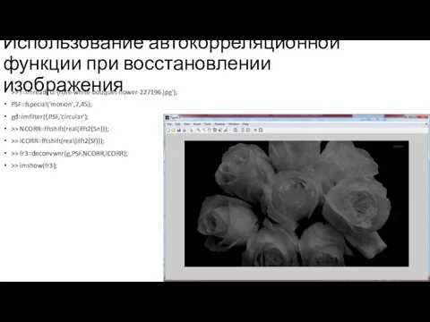 Использование автокорреляционной функции при восстановлении изображения >> f=imread('D:\rose-white-bouquet-flower-227196.jpg'); PSF=fspecial('motion',7,45); gd=imfilter(f,PSF,'circular');