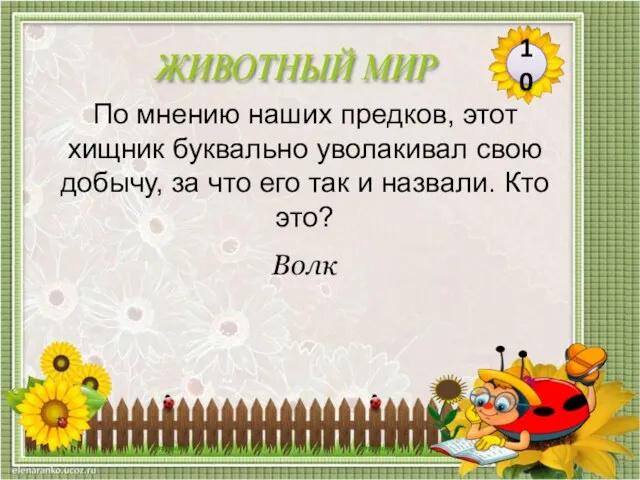 Волк По мнению наших предков, этот хищник буквально уволакивал свою