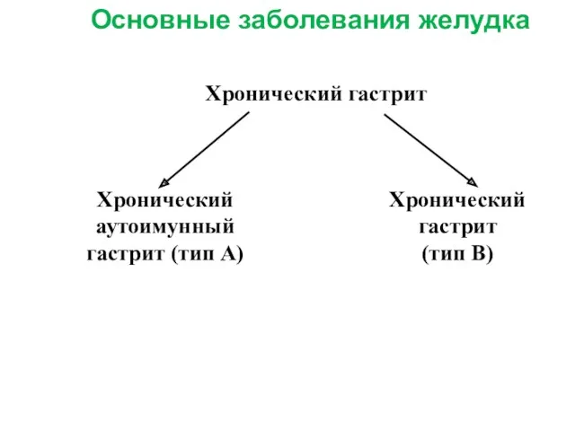 Хронический гастрит Хронический аутоимунный гастрит (тип А) Хронический гастрит (тип B) Основные заболевания желудка