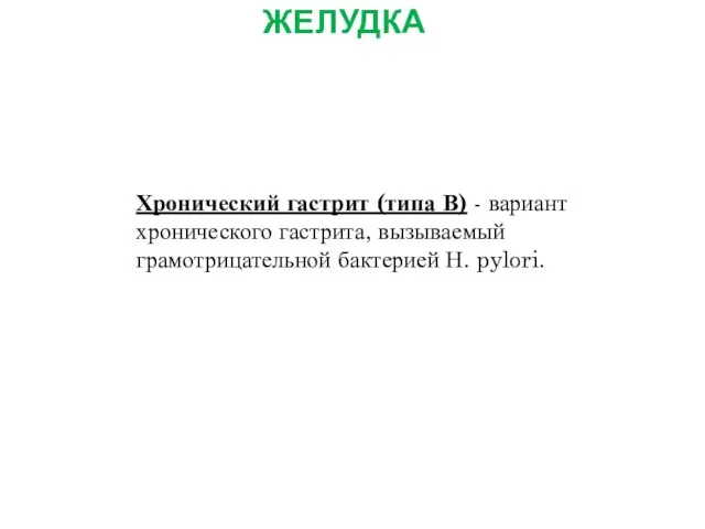 ОСНОВНЫЕ ЗАБОЛЕВАНИЯ ЖЕЛУДКА Хронический гастрит (типа В) - вариант хронического гастрита, вызываемый грамотрицательной бактерией Н. pylori.