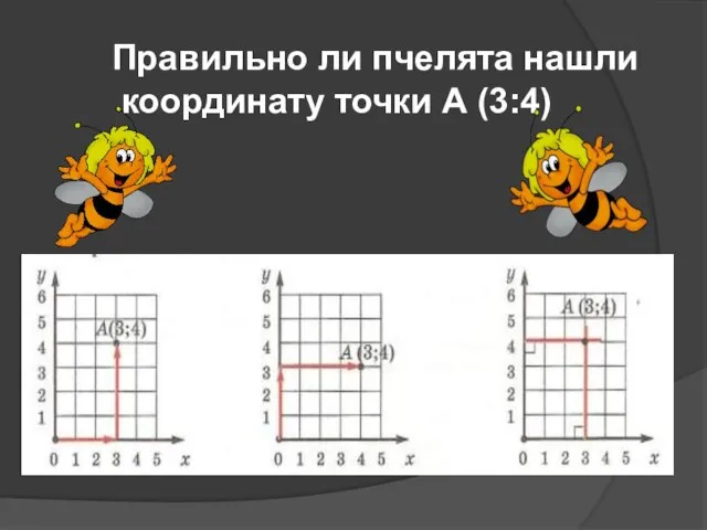 Правильно ли пчелята нашли координату точки А (3:4)