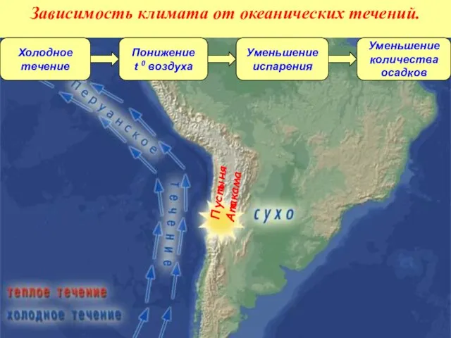 Холодное течение Понижение t 0 воздуха Уменьшение испарения Уменьшение количества осадков Пустыня Атакама