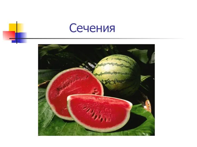 Сечения