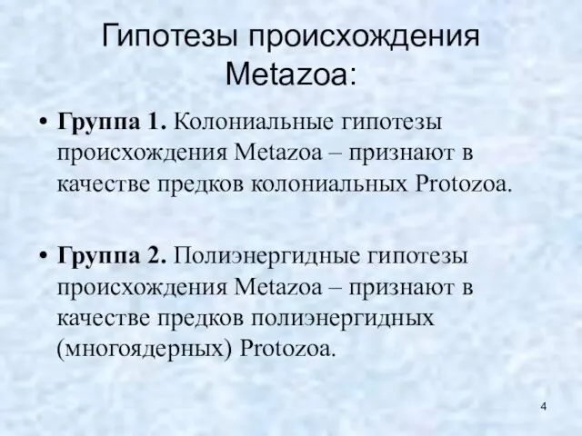 Гипотезы происхождения Metazoa: Группа 1. Колониальные гипотезы происхождения Metazoa –