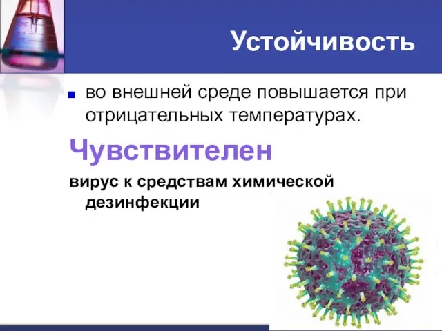 Устойчивость во внешней среде повышается при отрицательных температурах. Чувствителен вирус к средствам химической дезинфекции