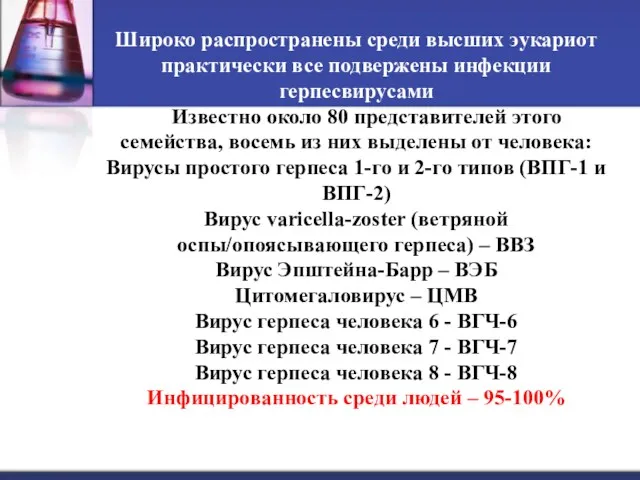 Широко распространены среди высших эукариот практически все подвержены инфекции герпесвирусами Известно около 80