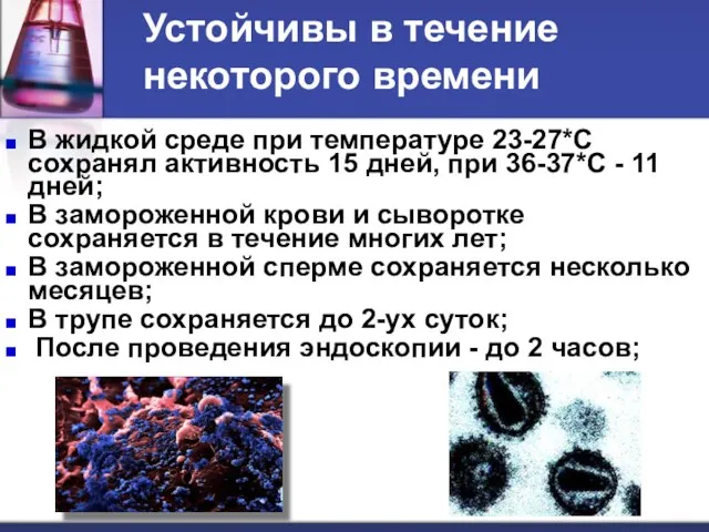 Устойчивы в течение некоторого времени В жидкой среде при температуре 23-27*С сохранял активность