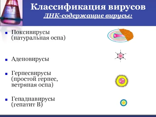 Классификация вирусов ДНК-содержащие вирусы: Поксивирусы (натуральная оспа) Аденовирусы Герпесвирусы (простой герпес, ветряная оспа) Гепаднавирусы (гепатит В)