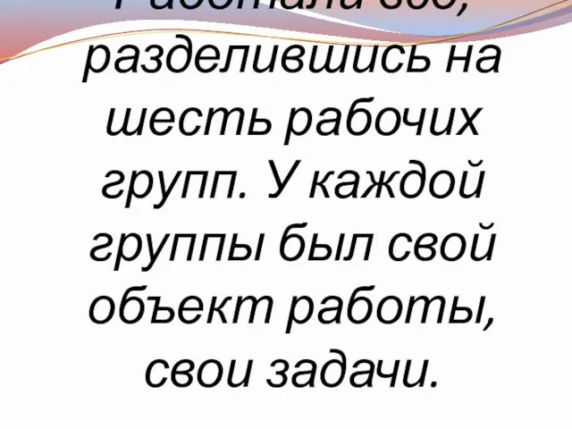 Работали все, разделившись на шесть рабочих групп. У каждой группы был свой объект работы, свои задачи.