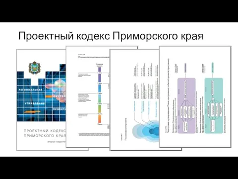 Проектный кодекс Приморского края