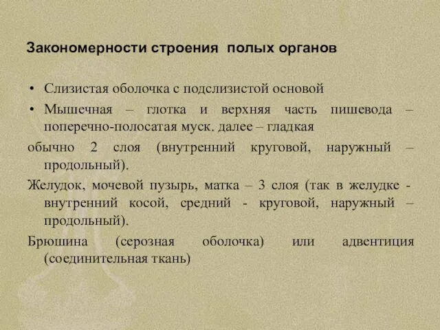 Закономерности строения полых органов Слизистая оболочка с подслизистой основой Мышечная