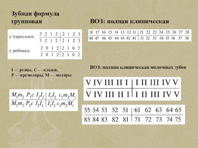 Зубная формула групповая ВОЗ: полная клиническая ВОЗ: полная клиническая молочных