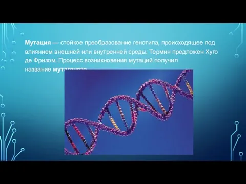 Мутация — стойкое преобразование генотипа, происходящее под влиянием внешней или внутренней среды. Термин