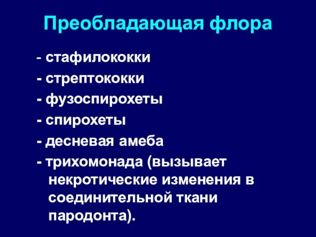 Преобладающая флора - стафилококки - стрептококки - фузоспирохеты - спирохеты