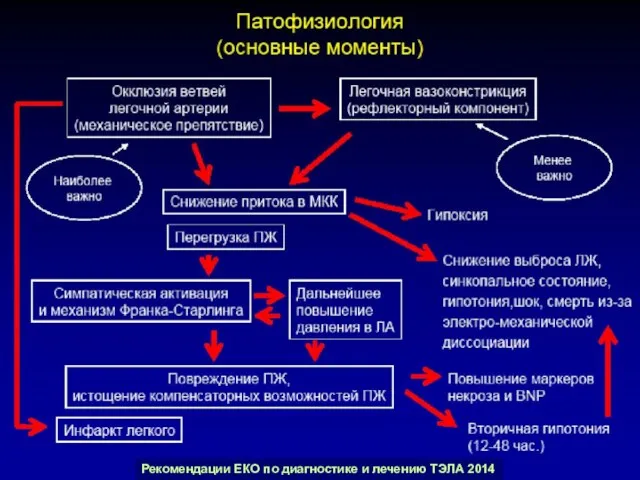 Рекомендации ЕКО по диагностике и лечению ТЭЛА 2014