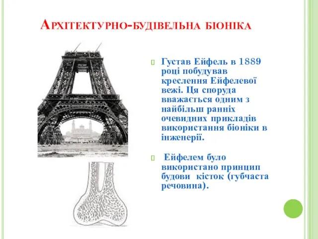 Архітектурно-будівельна біоніка Густав Ейфель в 1889 році побудував креслення Ейфелевої