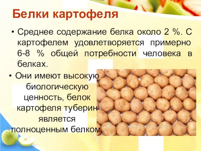 Белки картофеля Среднее содержание белка около 2 %. С картофелем