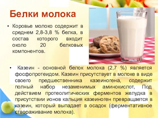 Белки молока Коровье молоко содержит в среднем 2,8-3,8 % белка,