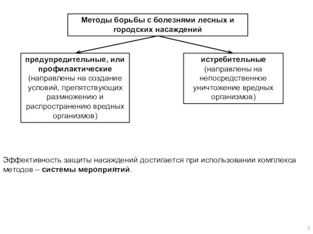 Методы борьбы с болезнями лесных и городских насаждений предупредительные, или