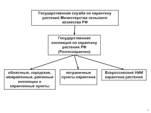 Государственная служба по карантину растений Министерства сельского хозяйства РФ Государственная