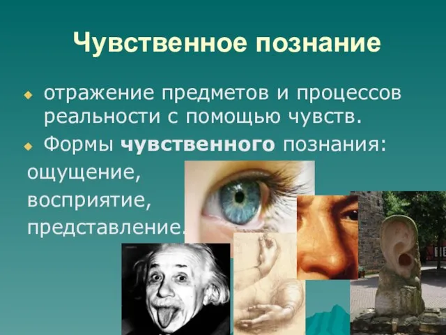 Чувственное познание отражение предметов и процессов реальности с помощью чувств. Формы чувственного познания: ощущение, восприятие, представление.