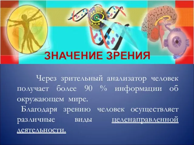 Через зрительный анализатор человек получает более 90 % информации об окружающем мире. Благодаря