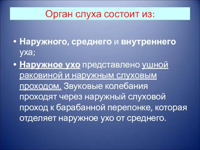 Орган слуха состоит из: Наружного, среднего и внутреннего уха; Наружное ухо представлено ушной