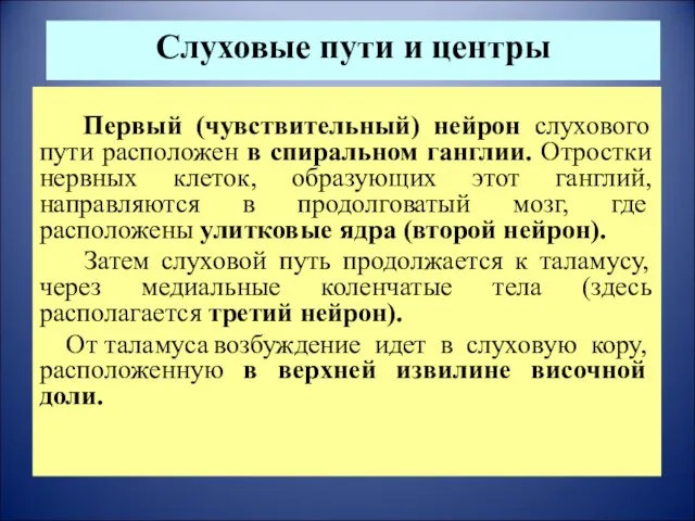 Слуховые пути и центры Первый (чувствительный) нейрон слухового пути расположен