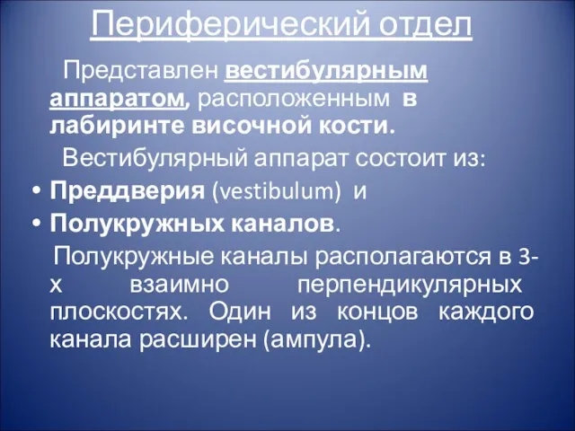 Периферический отдел Представлен вестибулярным аппаратом, расположенным в лабиринте височной кости. Вестибулярный аппарат состоит