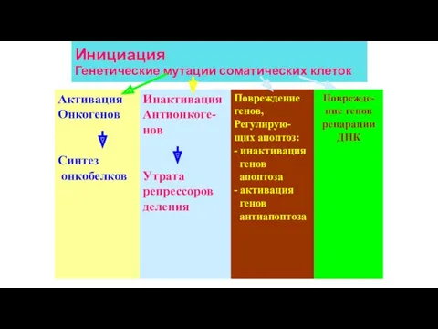 Инициация Генетические мутации соматических клеток