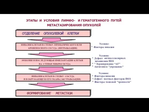 ЭТАПЫ И УСЛОВИЯ ЛИМФО- И ГЕМАТОГЕННОГО ПУТЕЙ МЕТАСТАЗИРОВАНИЯ ОПУХОЛЕЙ ОТДЕЛЕНИЕ