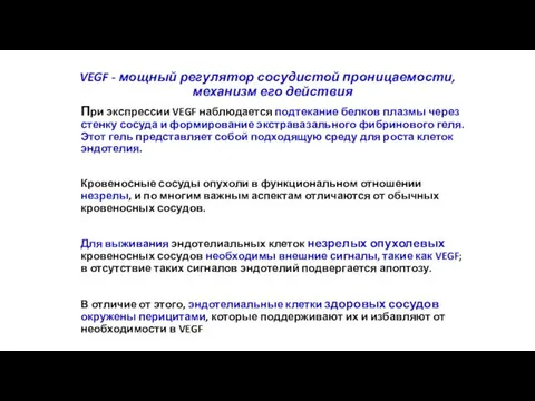 VEGF - мощный регулятор сосудистой проницаемости, механизм его действия При