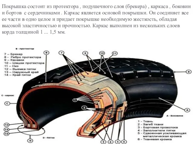 Покрышка состоит из протектора , подушечного слоя (брекера) , каркаса