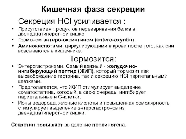 Кишечная фаза секреции Секреция HCl усиливается : Присутствием продуктов переваривания белка в двенадцатиперстной