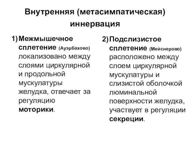 Внутренняя (метасимпатическая) иннервация 1) Межмышечное сплетение (Ауэрбахово) локализовано между слоями циркулярной и продольной