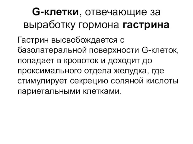 G-клетки, отвечающие за выработку гормона гастрина Гастрин высвобождается с базолатеральной поверхности G-клеток, попадает