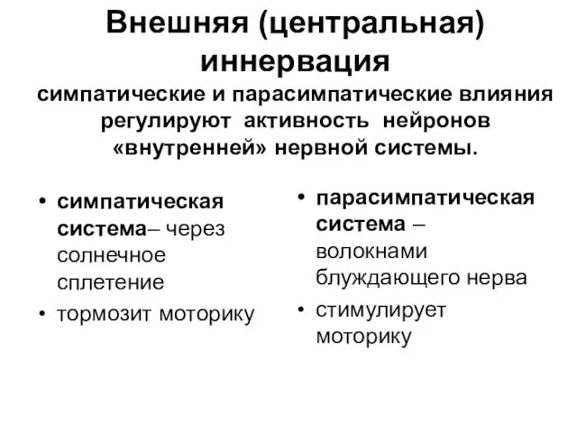 Внешняя (центральная) иннервация симпатические и парасимпатические влияния регулируют активность нейронов «внутренней» нервной системы.