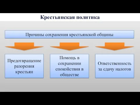 Крестьянская политика Причины сохранения крестьянской общины Предотвращение разорения крестьян Помощь