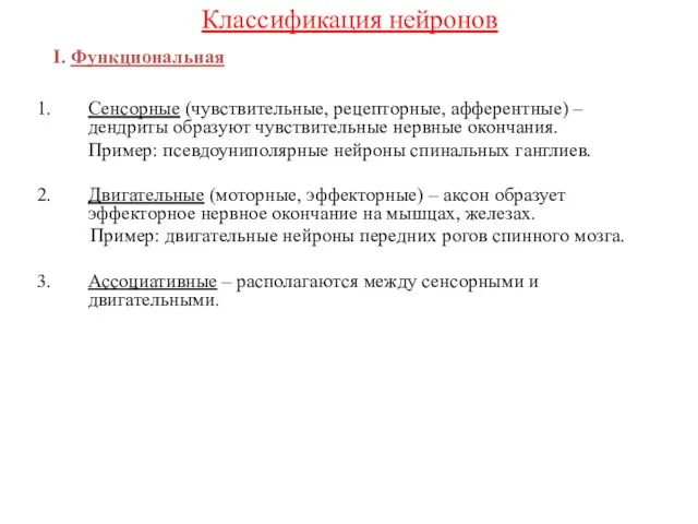 Классификация нейронов I. Функциональная Сенсорные (чувствительные, рецепторные, афферентные) – дендриты