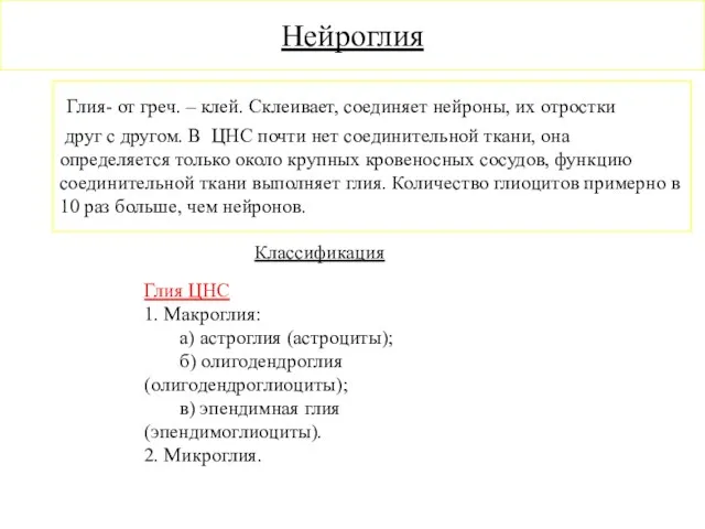 Нейроглия Глия- от греч. – клей. Склеивает, соединяет нейроны, их отростки друг с