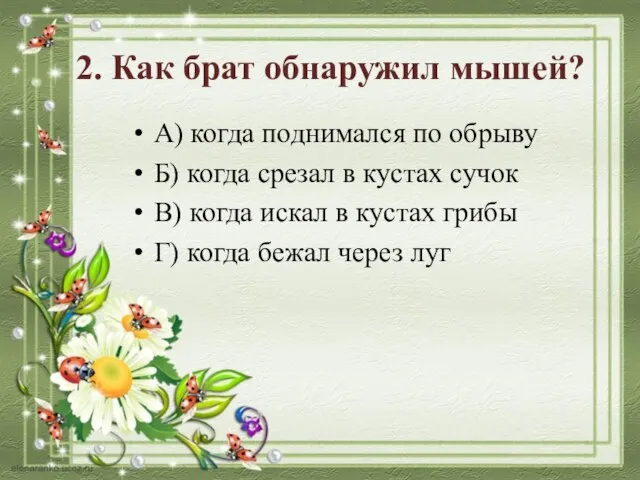 2. Как брат обнаружил мышей? А) когда поднимался по обрыву