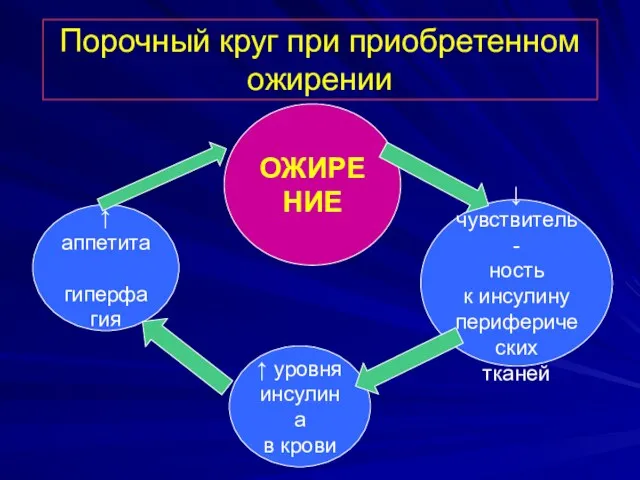 Порочный круг при приобретенном ожирении ↓ чувствитель- ность к инсулину