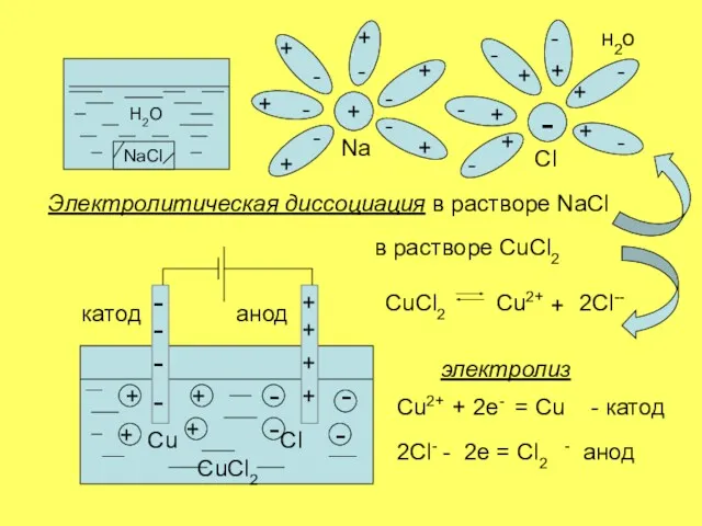 Н2О NaCl н2о + Электролитическая диссоциация в растворе NaCl CuCl2 2Cl-- в растворе